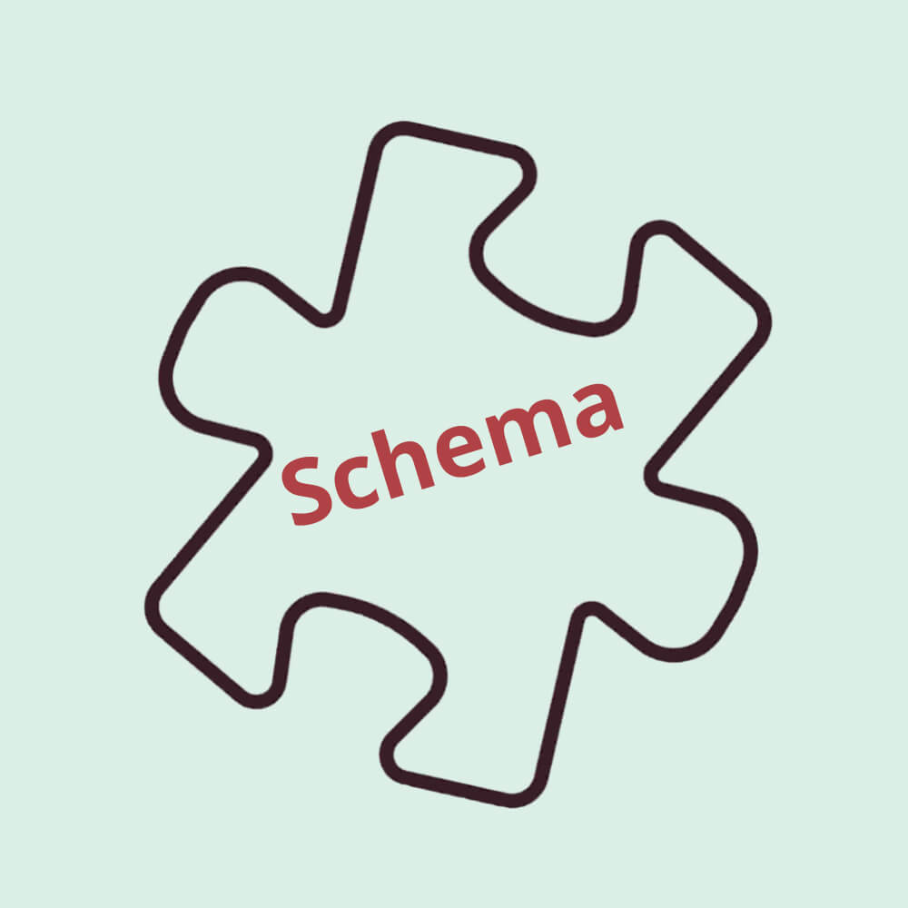 A puzzle piece with the word "Schema" on it